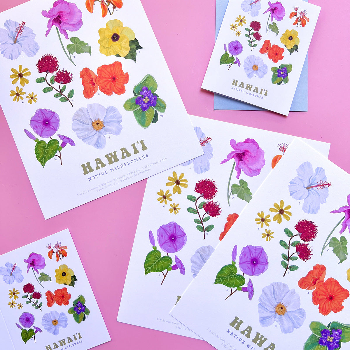 Hawaii Native Wildflowers Art Print