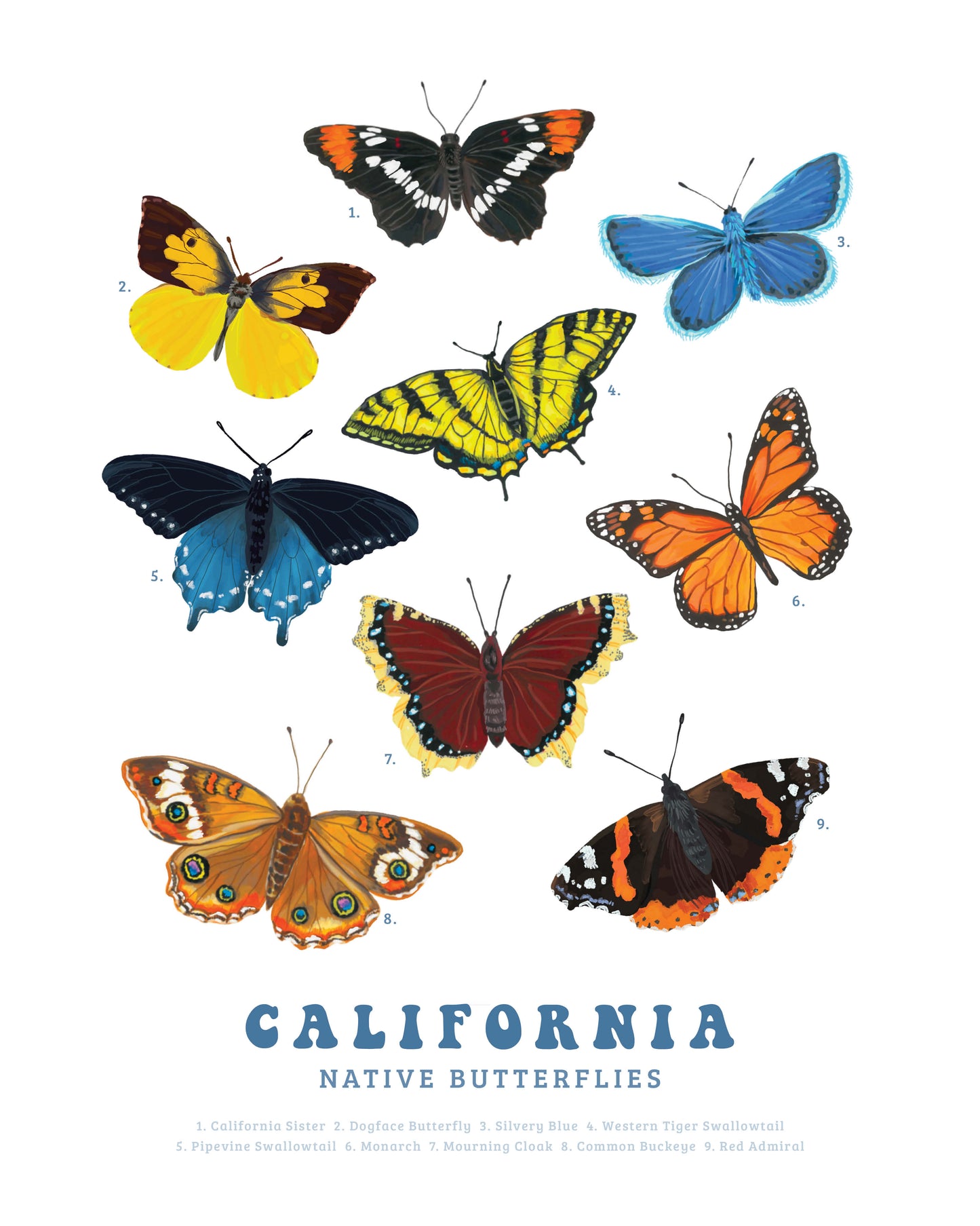 California Native Butterflies Art Print
