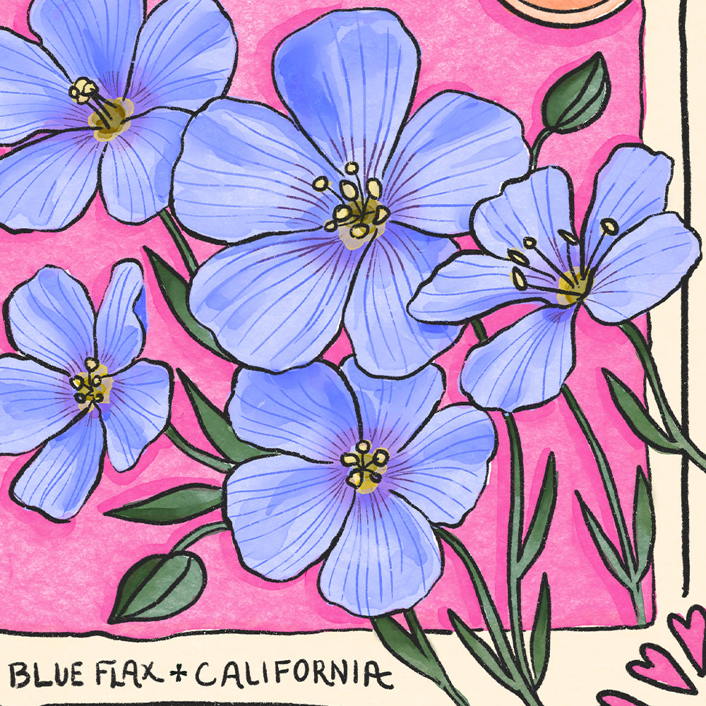 Flower Seed Packet Valentine's Day Card