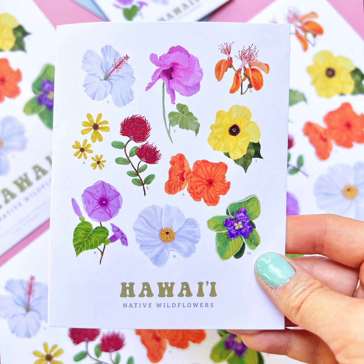 Hawaii Native Wildflowers Card
