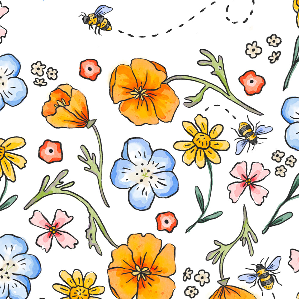 poppies, bees and California wildflowers on a white background