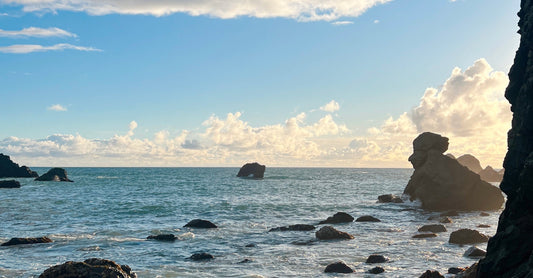 Earth Day on the California Coast