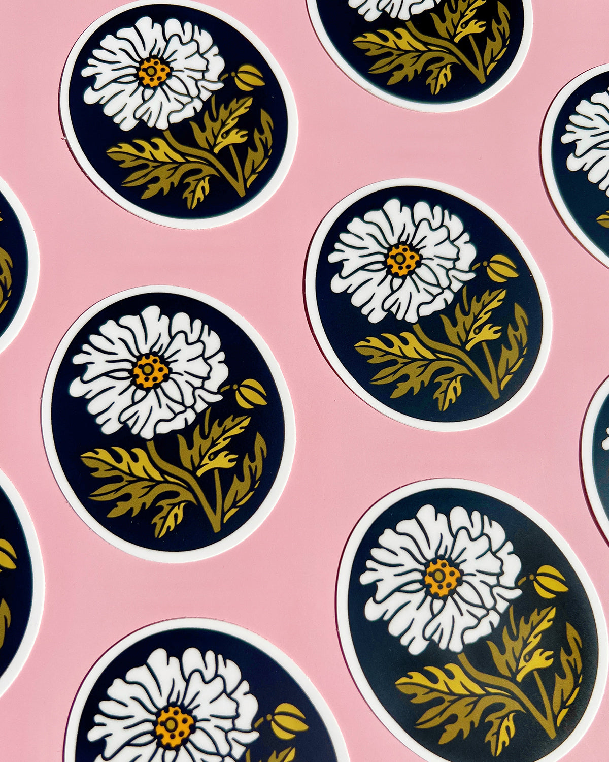 Matilija Poppy Sticker