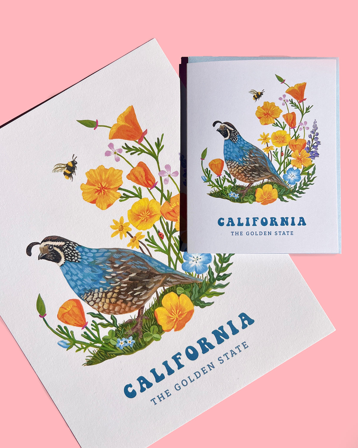 California Quail & Wildflowers Art Print