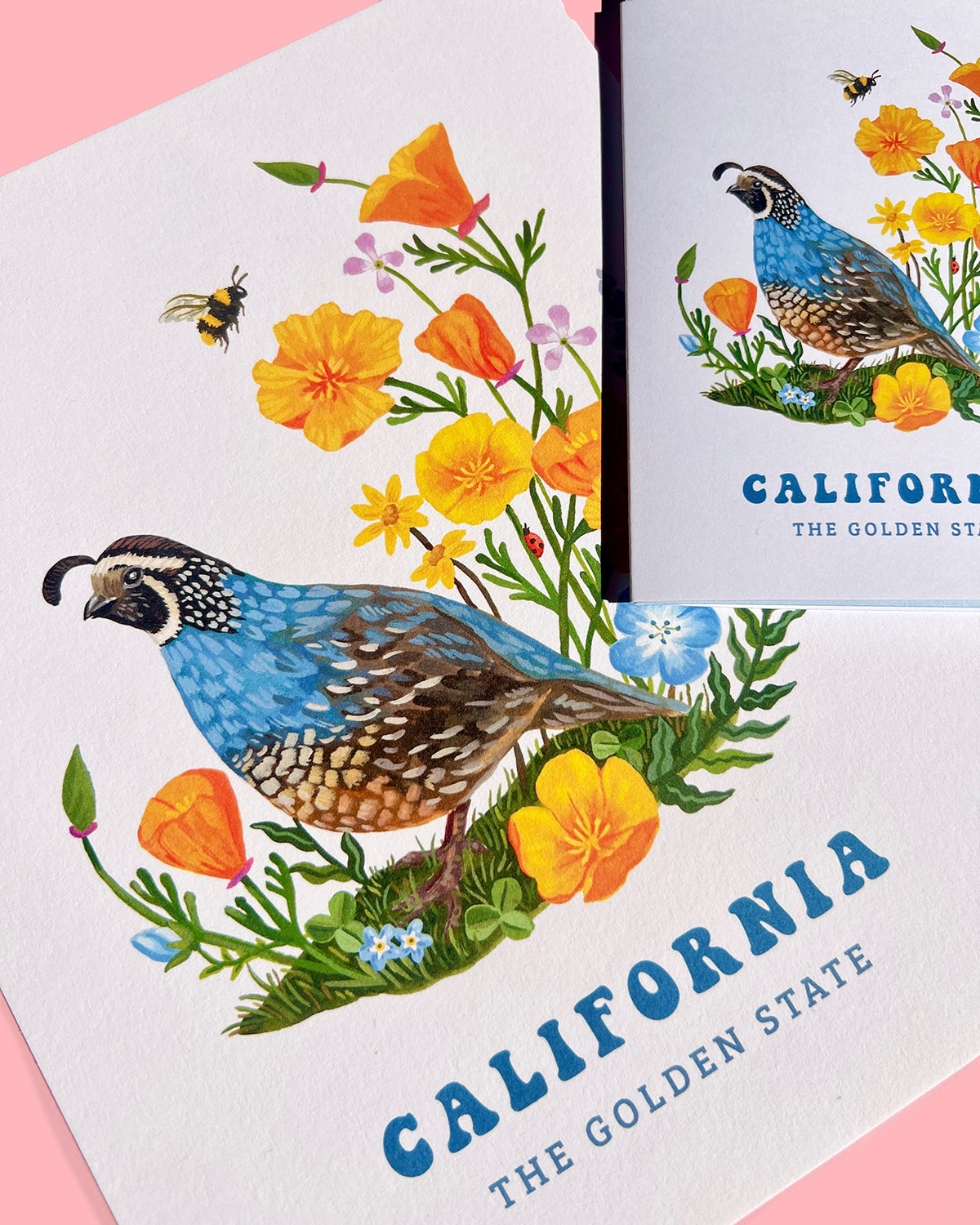 California Quail & Wildflowers Art Print