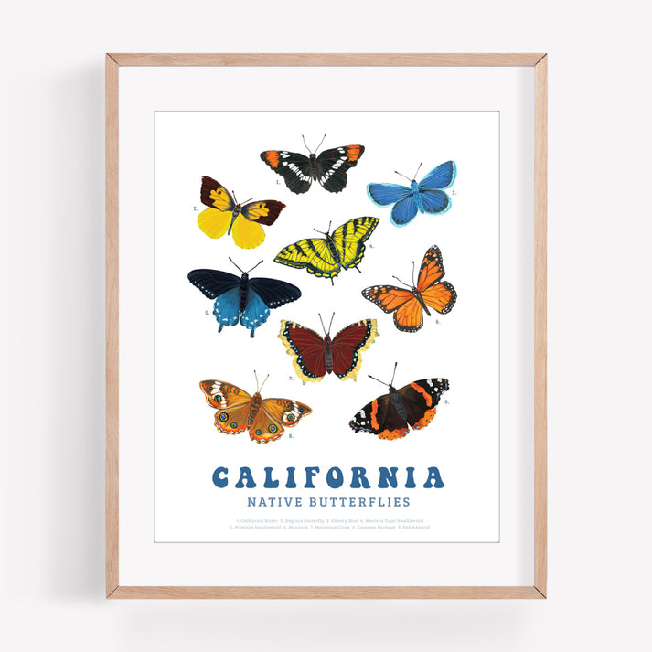 California Native Butterflies Art Print – Brenna Daugherty Illustration