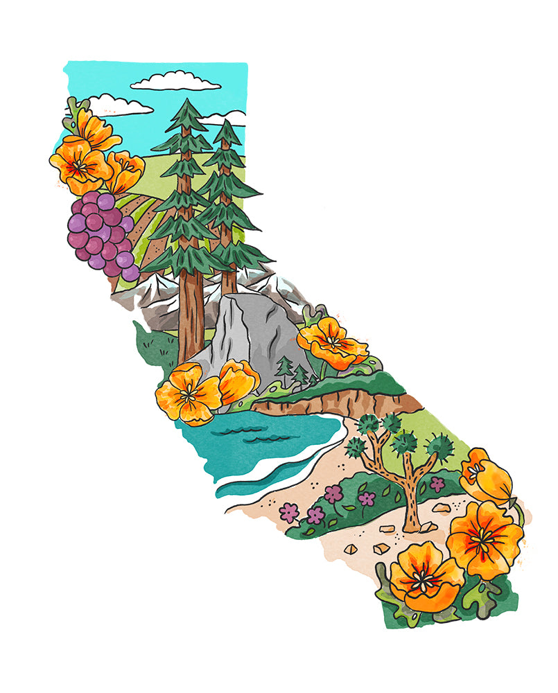 California State Art Print