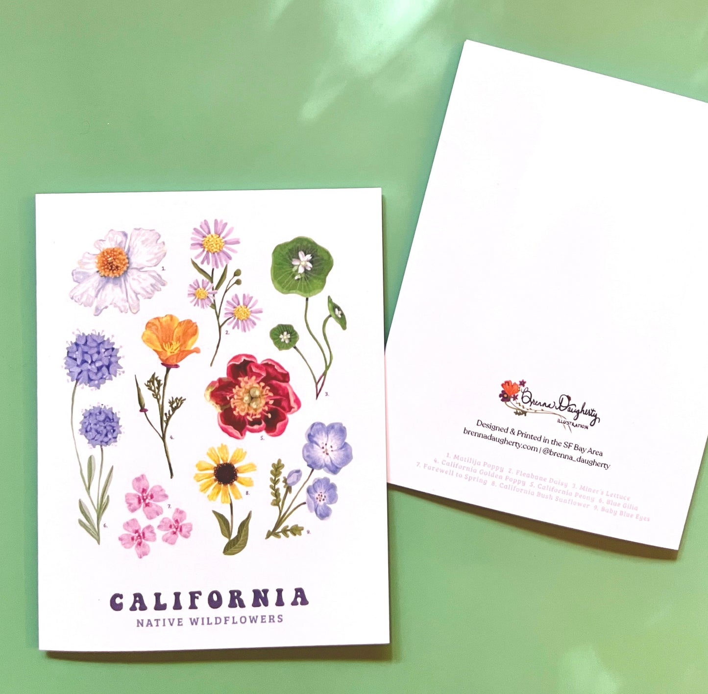 California Native Wildflowers Card