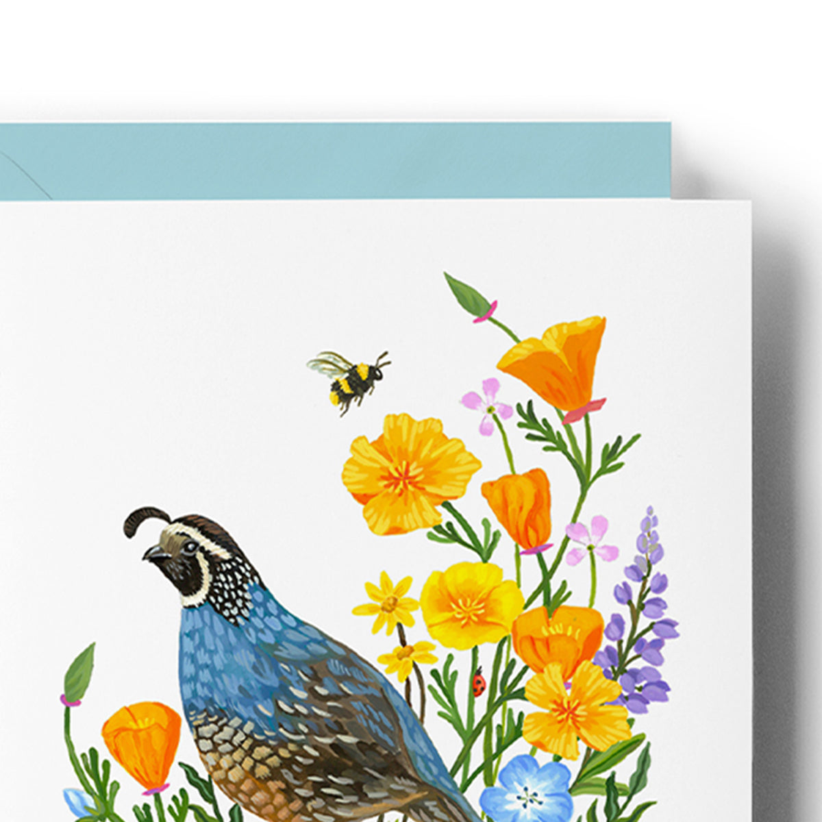 California Quail & Wildflowers Card