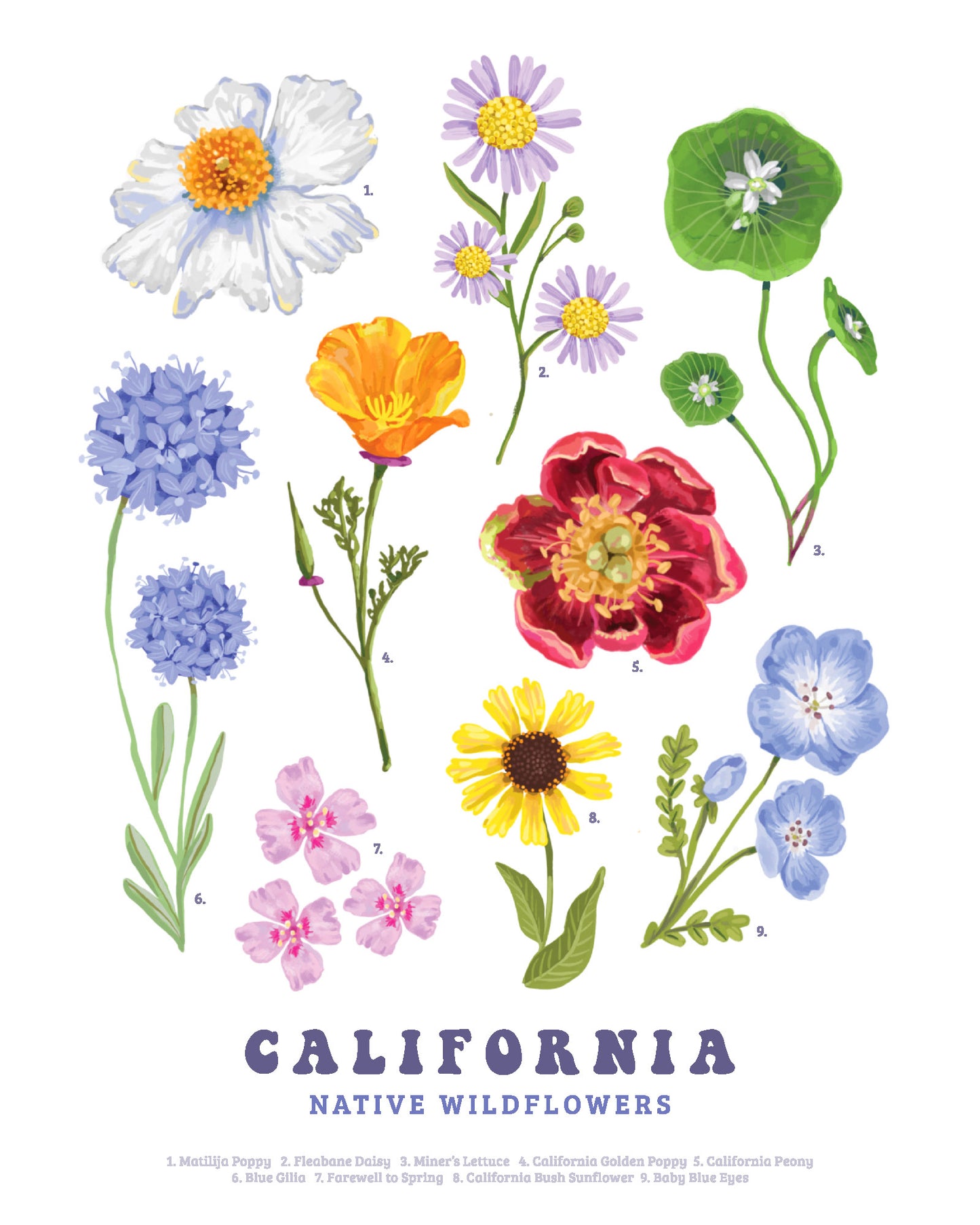 California Native Wildflowers Art Print