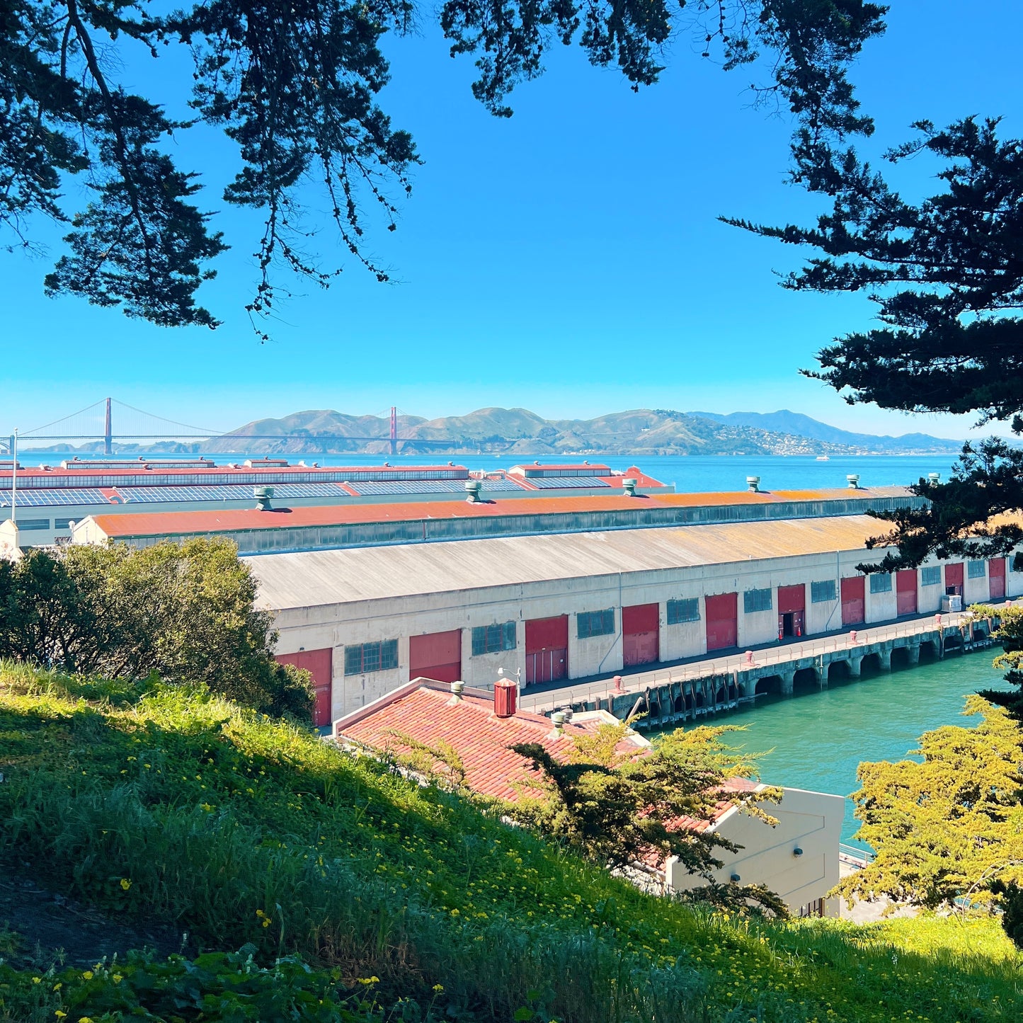 Golden Gate Bridge & Wildflowers Art Print