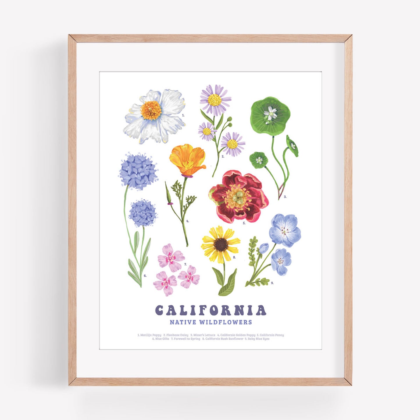 California Native Wildflowers Art Print